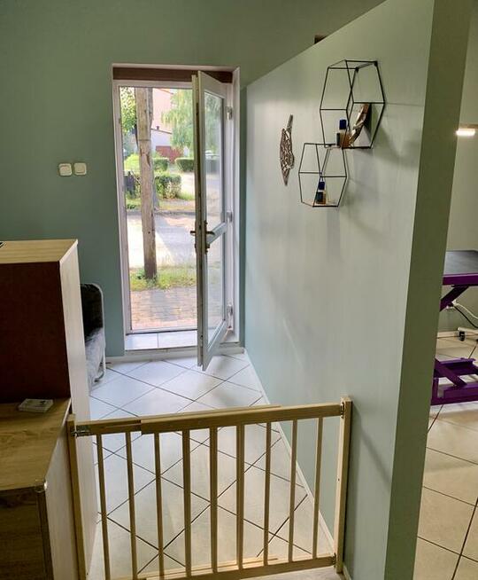 Groomer, psi fryzjer, salon fryzjerski dla psów Zawiercie