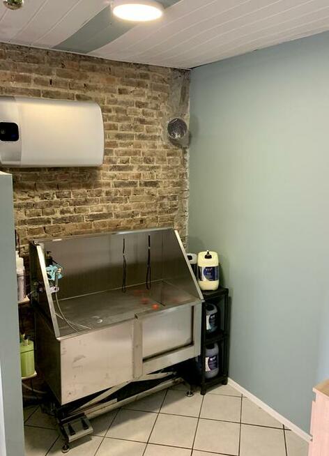 Groomer, psi fryzjer, salon fryzjerski dla psów Zawiercie