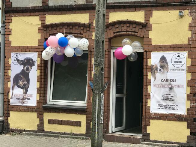 Groomer, psi fryzjer, salon fryzjerski dla psów Zawiercie