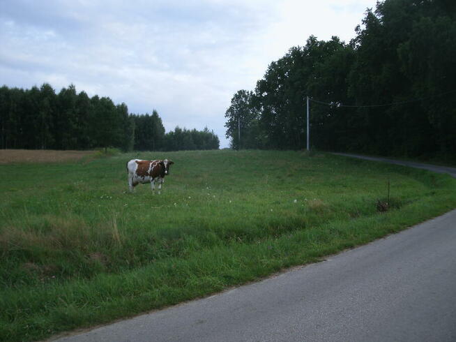 Łęki Dolne 10 działek budowlanych na sprzedaż