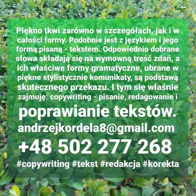 Copywriter - pisanie tekstów