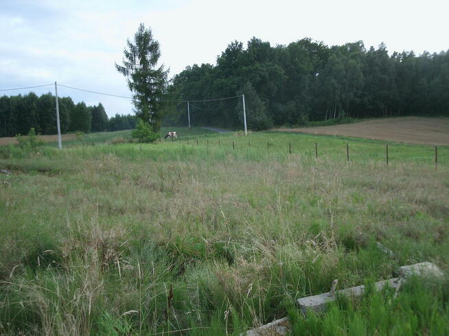 Łęki Dolne 10 działek budowlanych na sprzedaż