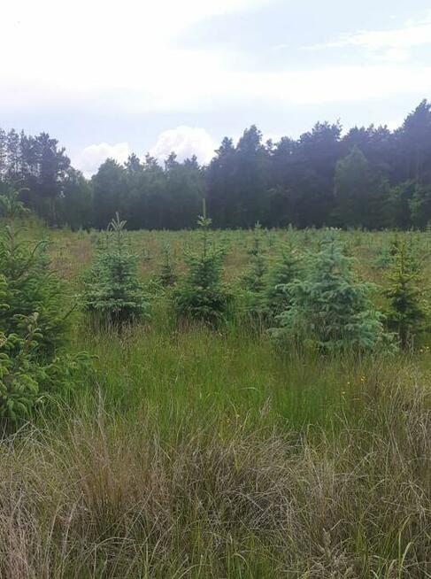 rolna 1,55 ha Modecin gmina Dobre pow. Miński woj Mazowiecki