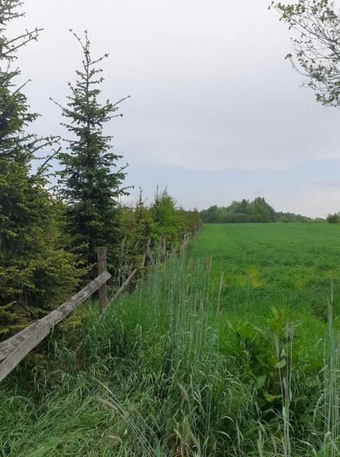 rolna 1,55 ha Modecin gmina Dobre pow. Miński woj Mazowiecki