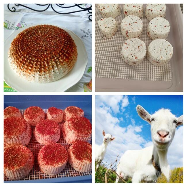 WARZYWA ekologiczne prosto z pola 730-450-496