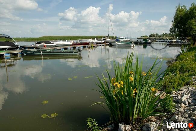 Węgry Jezioro Cisa Abádszalók domek do wynajęcia