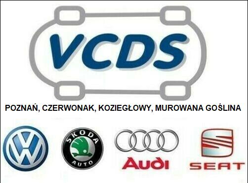 Diagnostyka, kodowanie pojazdów grupy VAG-VW,Audi, Seat,Skoda