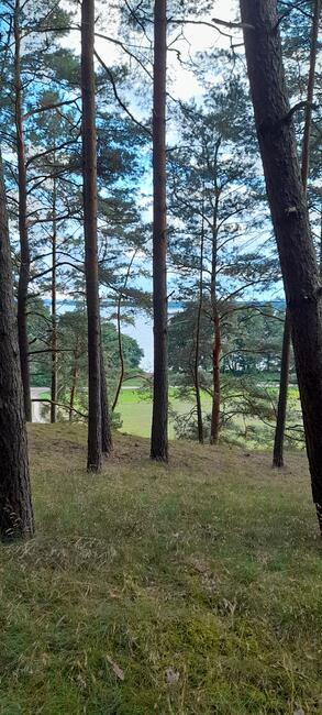 DZIAŁKA swornegacie