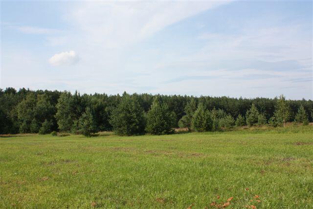 Działka rekreacyjno - budowlana w sąsiedztwie lasu.