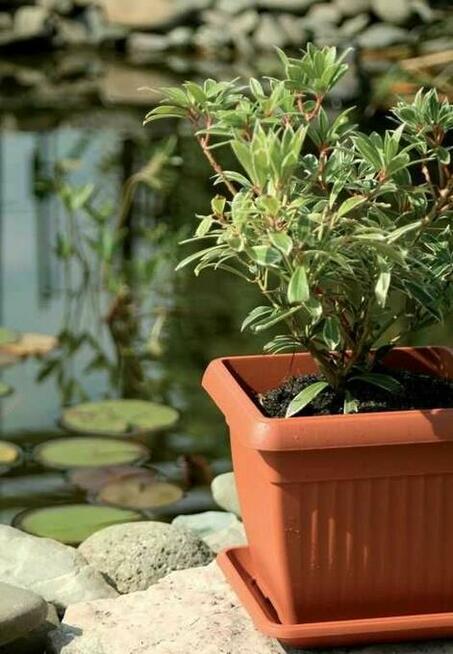 Duża doniczka kwadratowa 37cm Terra Prosperplast z podstawką