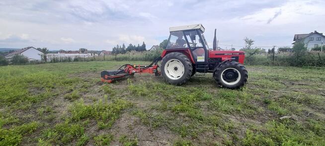 Czyszczenie działek z zarosli drzew korzeni rekultywacja