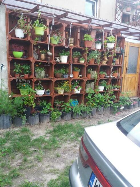 CZARTER OMEGA GRZYBY NOCLEG MIGDA SIEMIANY J JEZIORAK