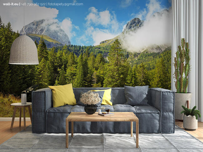 Fototapeta na wymiar Nowoczesna Wodoodporna Fizelinowa TYNK