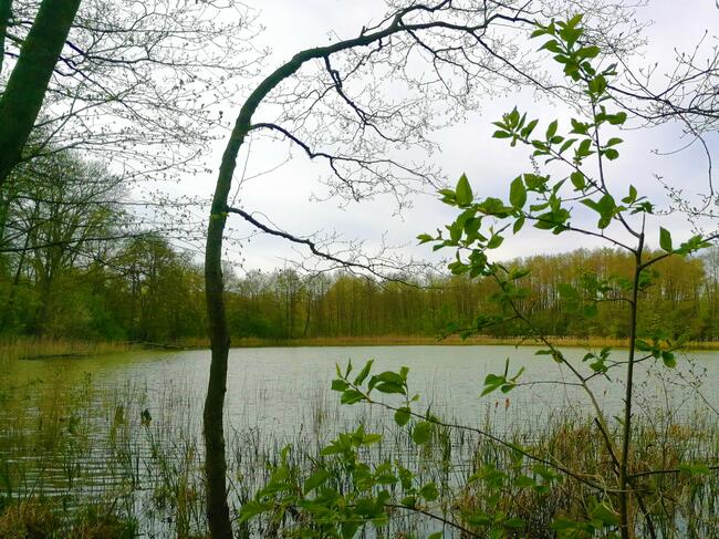 działki w bliskiej okolicy Szczecina