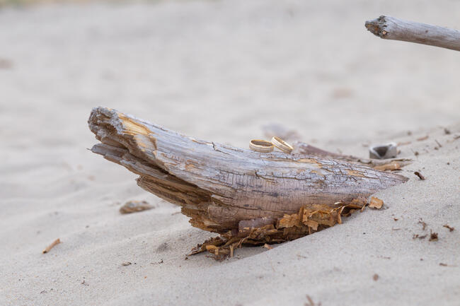 Fotografia Chrztu, Komunii, Imprez Okolicznościowych
