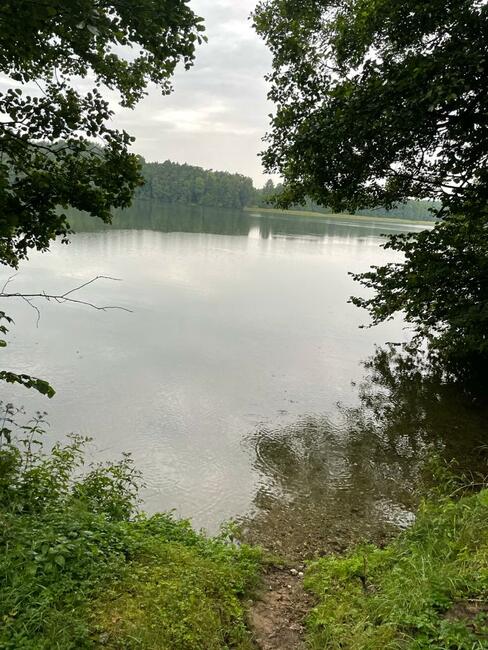 Wynajmę przyczepę kempingową z działką