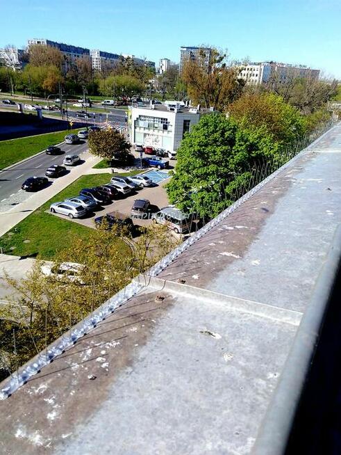 Montaż kolców na ptaki, gołębie. Kolce przeciw ptakóm