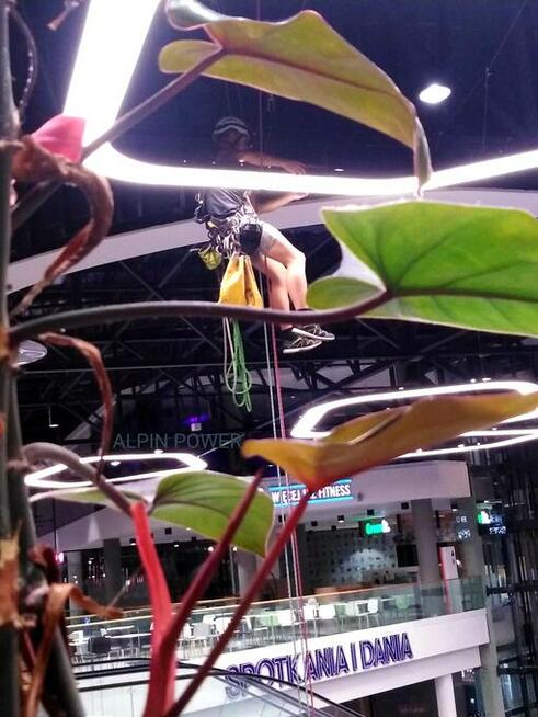 Prace wysokościowe Usługi Alpinistyczne Alpinista