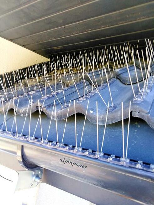 Montaż kolców na ptaki, gołębie. Kolce przeciw ptakóm