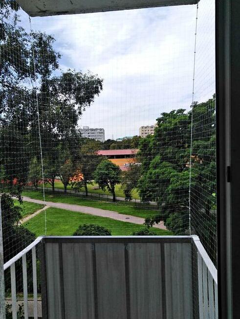 Montaż kolców na ptaki, gołębie. Kolce przeciw ptakóm