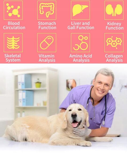 Kwantowy Analizator zdrowia dla zwierząt PSY i KOTY Quantum