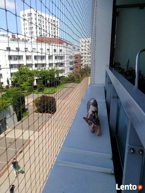 Montaż siatki na balkon dla kota przeciw ptakóm na gołębie