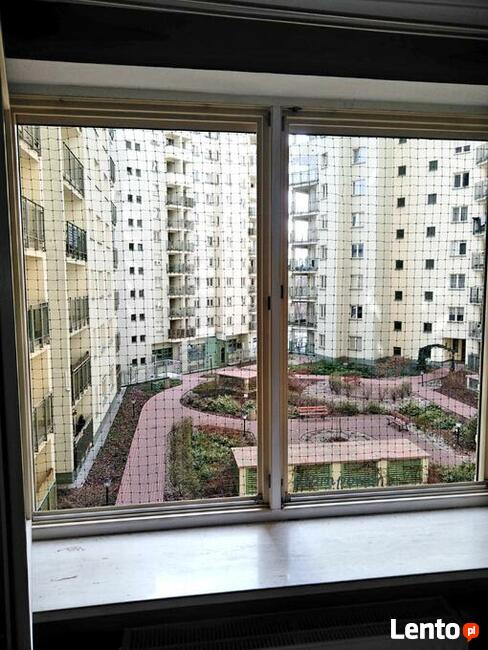 Montaż siatki na balkon dla kota przeciw ptakóm na gołębie