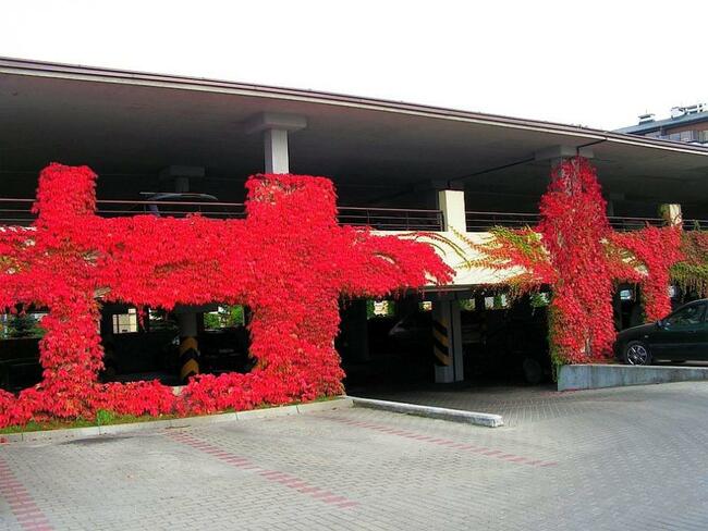 Wynajmę ładne zadbane mieszkanie w Warszawie