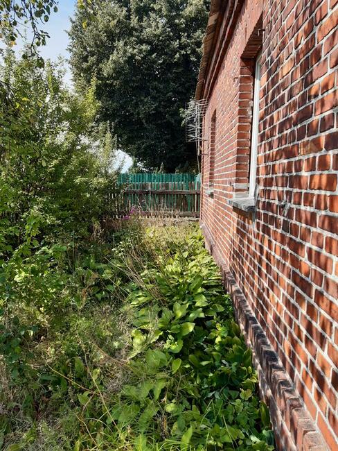 Sprzedam bezpośrednio nieruchomość z urokliwym laskiem