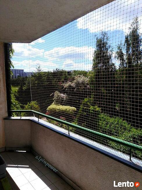 Montaż siatki na balkon dla kota przeciw ptakóm na gołębie