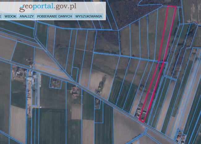 Sprzedam bezpośrednio nieruchomość z urokliwym laskiem