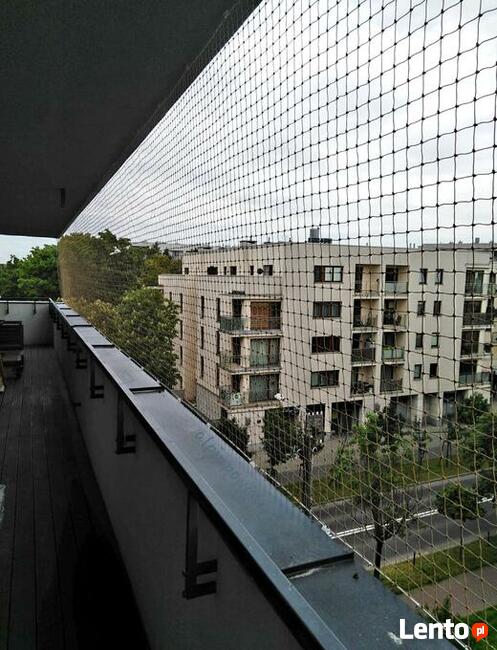 Montaż siatki na balkon dla kota przeciw ptakóm na gołębie