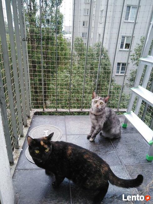 Montaż siatki na balkon dla kota przeciw ptakóm na gołębie