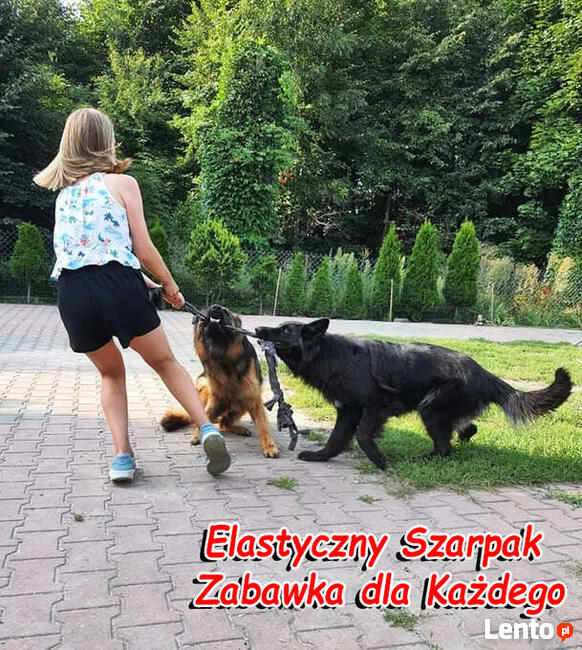 ELASTYCZNY Szarpak Mata węchowa dla Psa zobacz