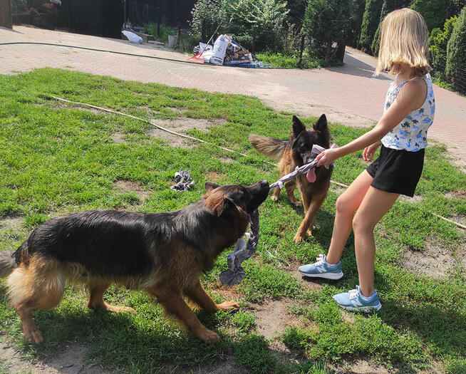 ELASTYCZNY Szarpak Mata węchowa dla Psa zobacz