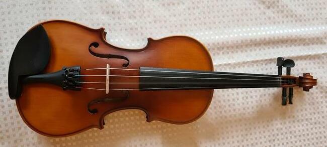 SKRZYPCE różne rozmiary