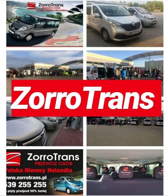 Busy Holandia Polska Niemcy ZorroTrans