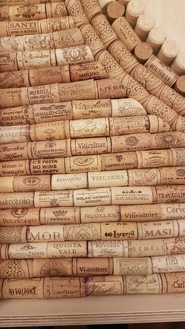 Dart tarcza profesjonalna w skrzyni zamykana