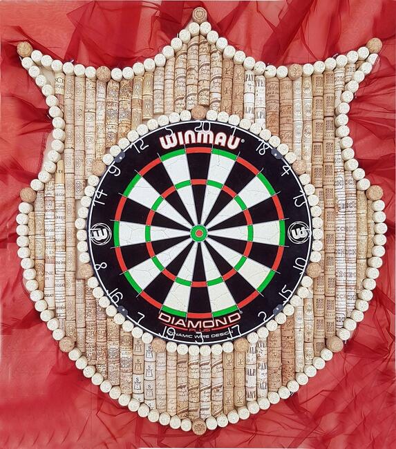 Dart tarcza profesjonalna w skrzyni zamykana