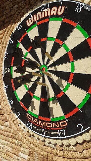 Dart tarcza profesjonalna w skrzyni zamykana