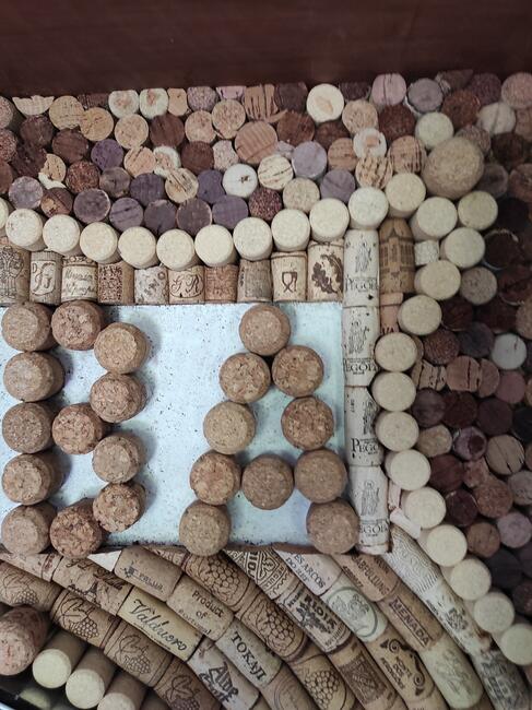 Dart tarcza profesjonalna w skrzyni zamykana