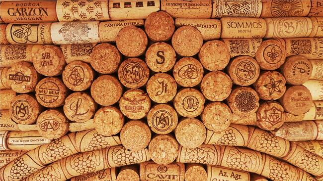 Dart tarcza profesjonalna w skrzyni zamykana