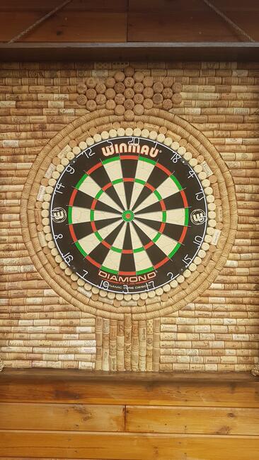 Dart tarcza profesjonalna w skrzyni zamykana