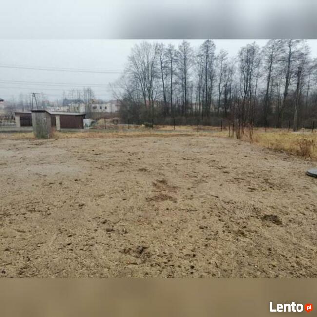 Zakładanie ogrodów, kompleksowe usługi ogrodnicze.