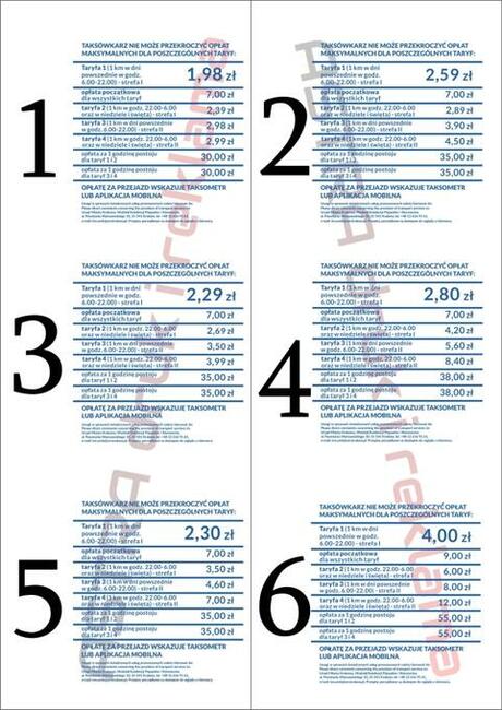 KOGUT taxi szpakówka gapa na magnesie biały kogut Kraków wys