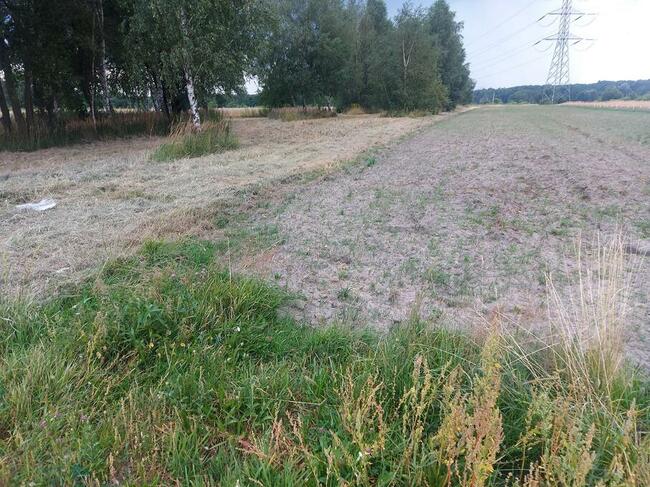 Warężyn działka rolno-budowlana