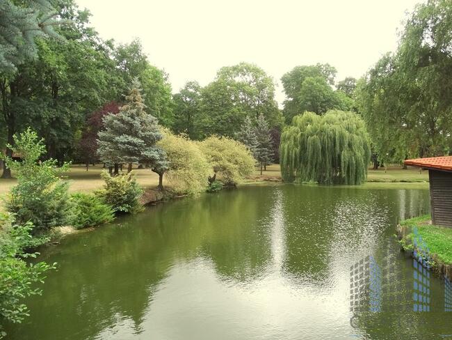 Kompleks pałacowo - parkowy ok Wrocław