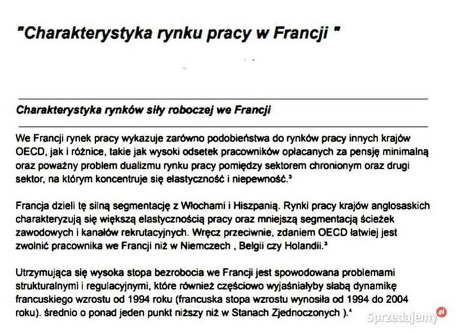 Charakterystyka rynku pracy w Francji - Praca Zaliczeniowa