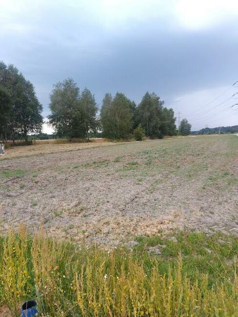 Warężyn działka rolno-budowlana