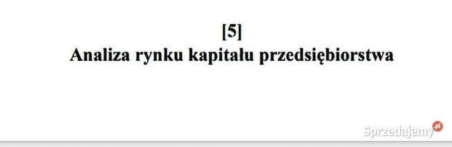 Analiza płynności, rentowności, zadłużenia - Projekt Studia